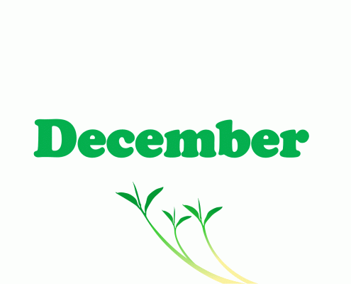 December
